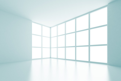 以下、ガラス張り行政についての政策例です