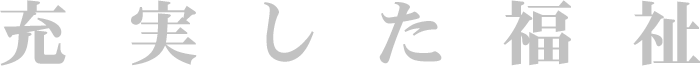 このページは充実した福祉についてでした